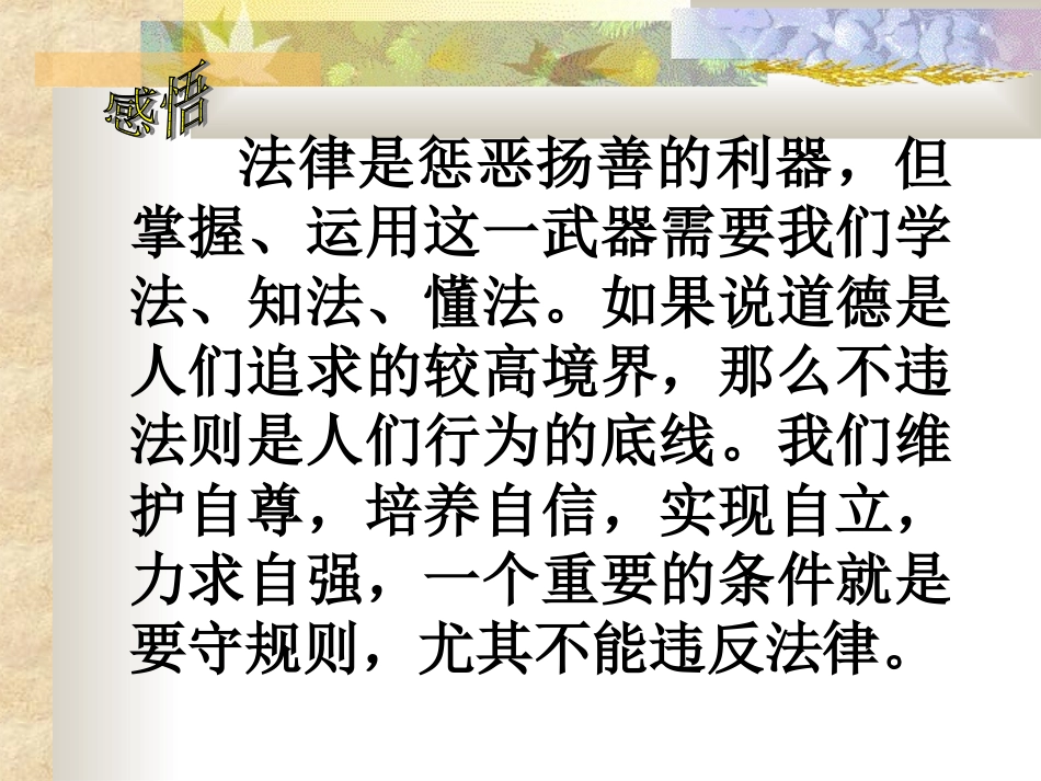 初中一年级思想品德下册第四单元做知法守法用法的人第七课感受法律的尊严第一课时课件_第3页