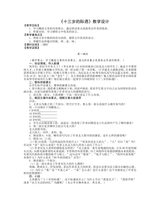 《十三岁的际遇》教学设计