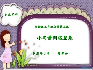小鸟请到这里来课件董婷