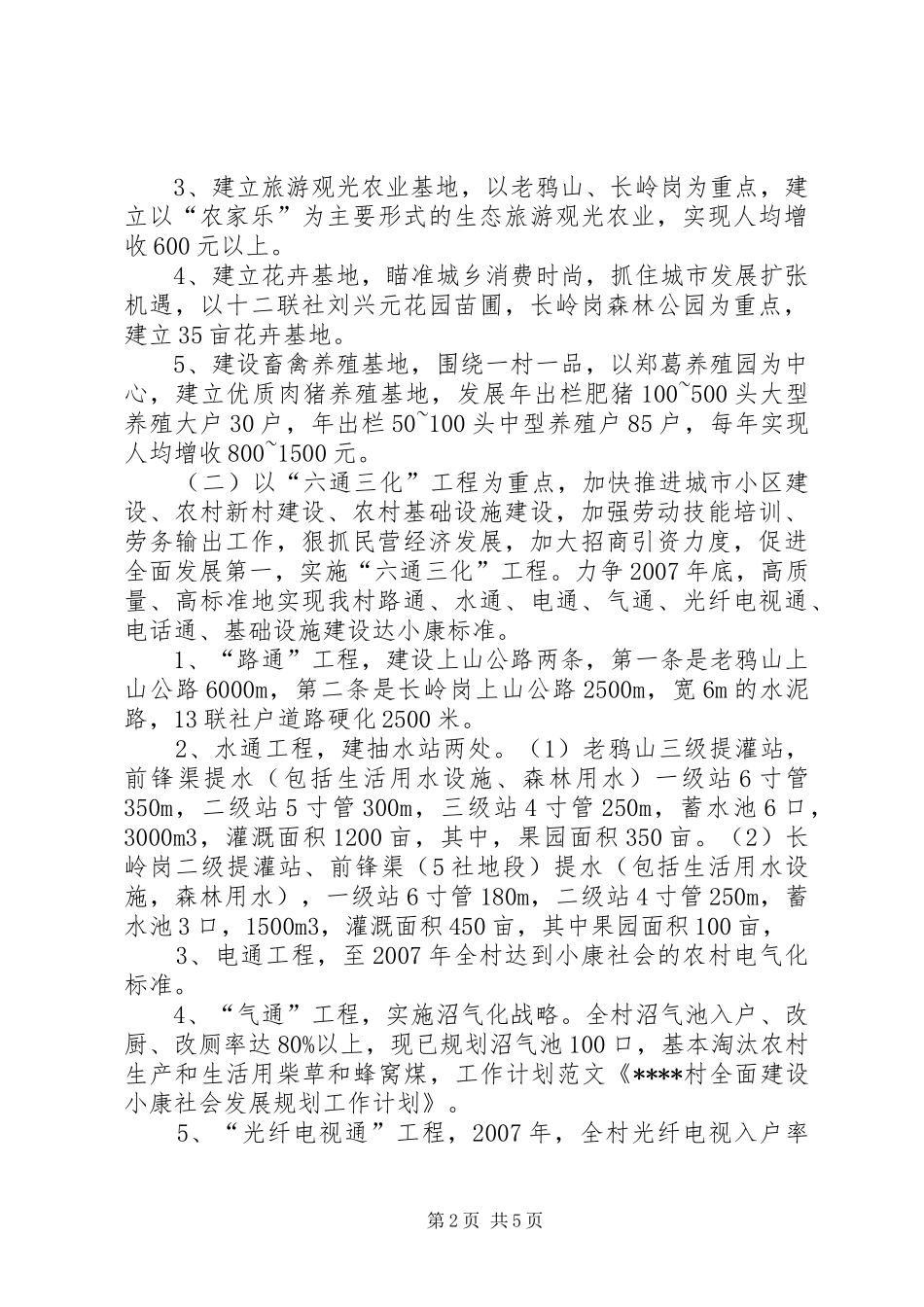 XX村全面建设小康社会发展规划工作计划_第2页