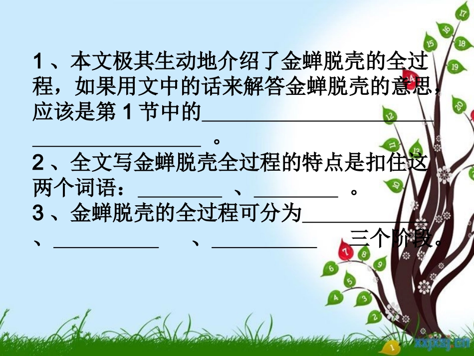 金蝉脱壳课件_第2页