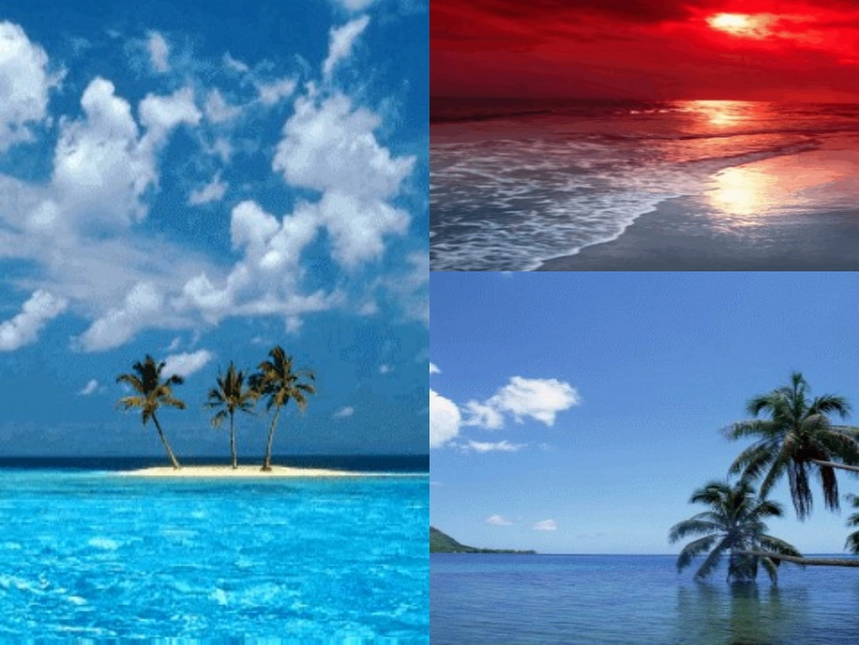 富饶的西沙群岛课件_第1页