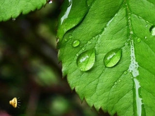 专题复习：世界史的改革