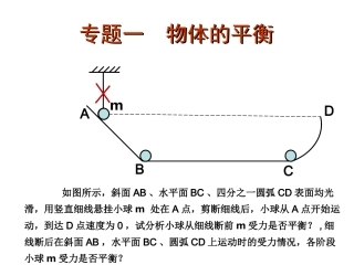 专题：物体的平衡