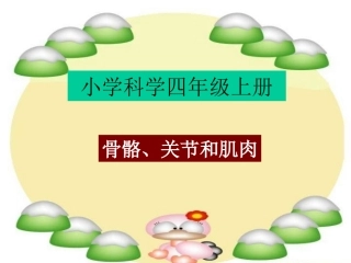 （中小学资料骨骼、关节和肌肉