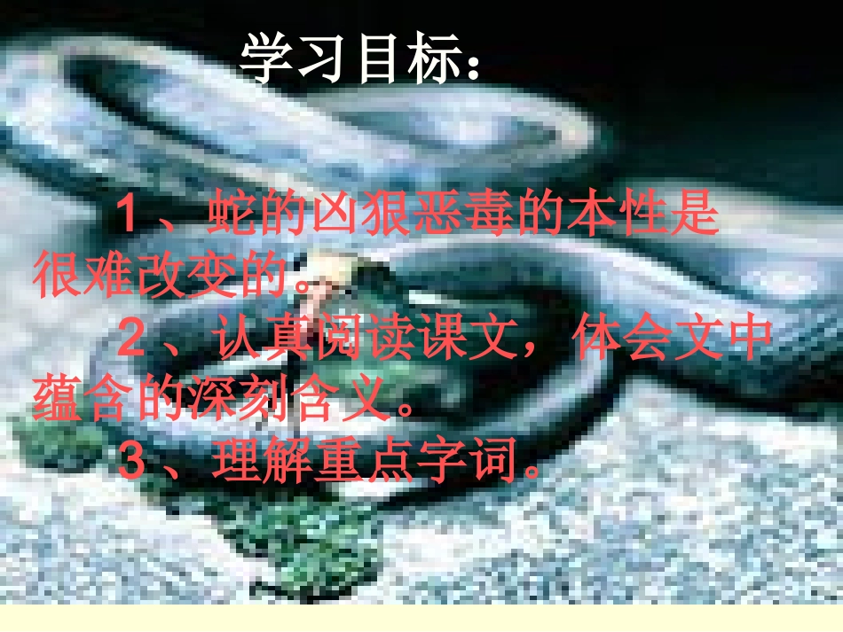 北师大版《农夫和蛇》两则_第2页