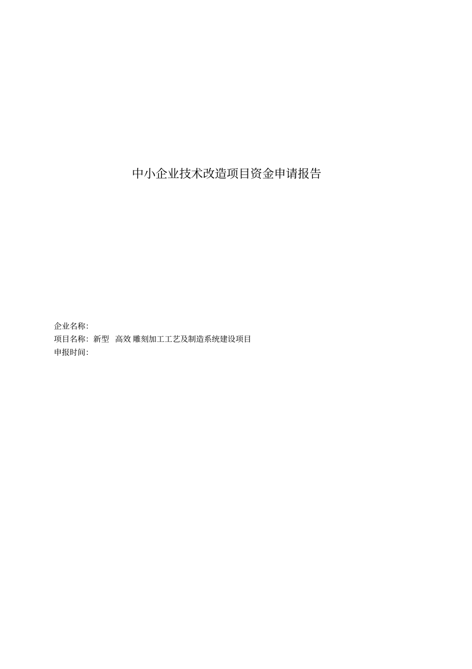 中小企业技术改造项目资金申请报告_第1页