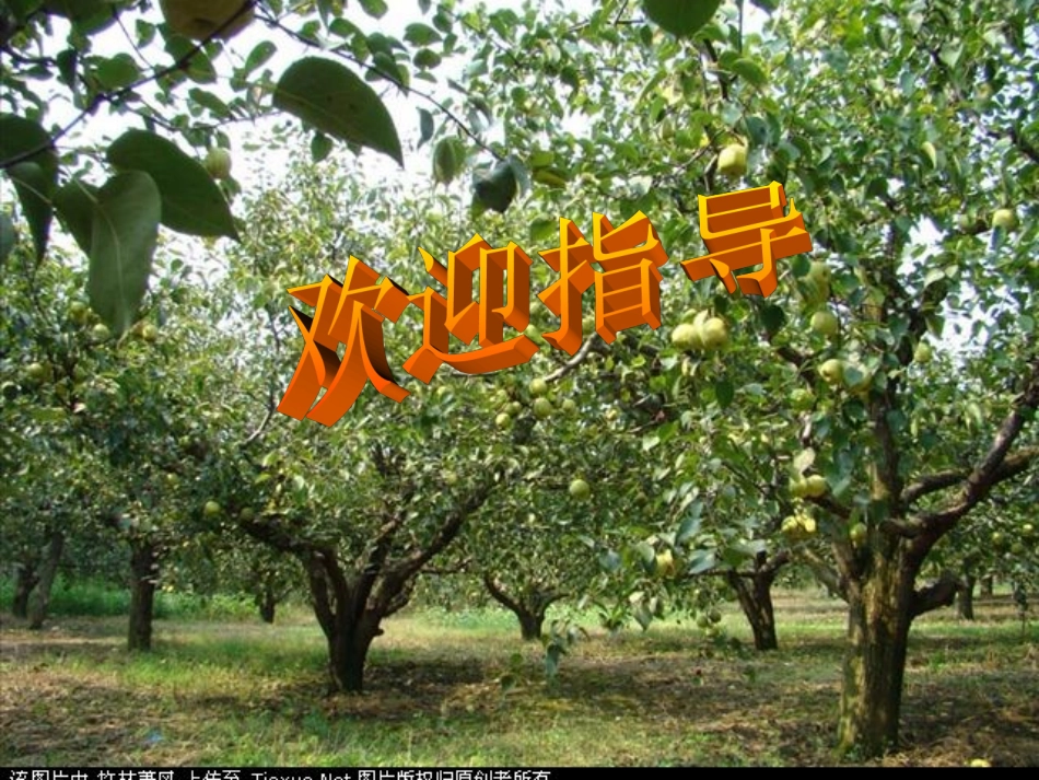 学会调控情绪_第1页