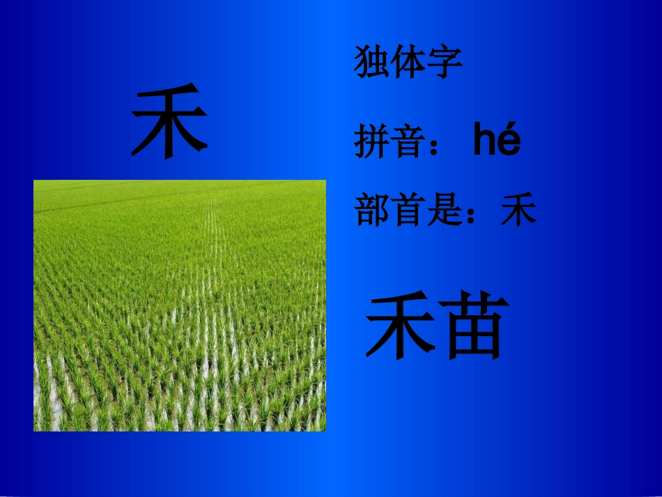 小学语文《阳光》课件_第3页