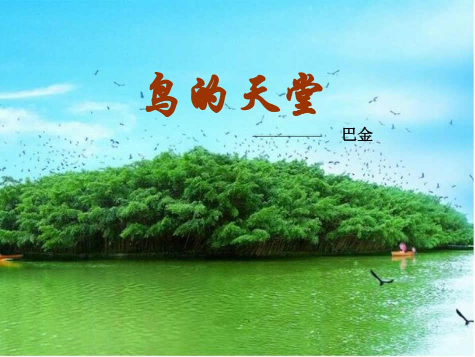 鸟的天堂课件_第1页