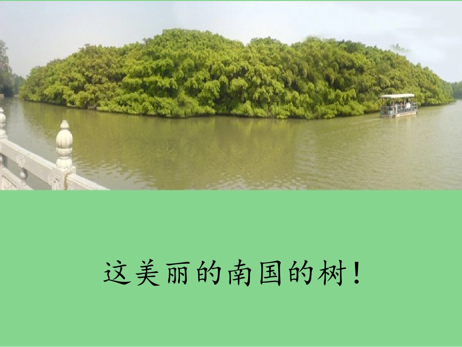 鸟的天堂课件_第2页