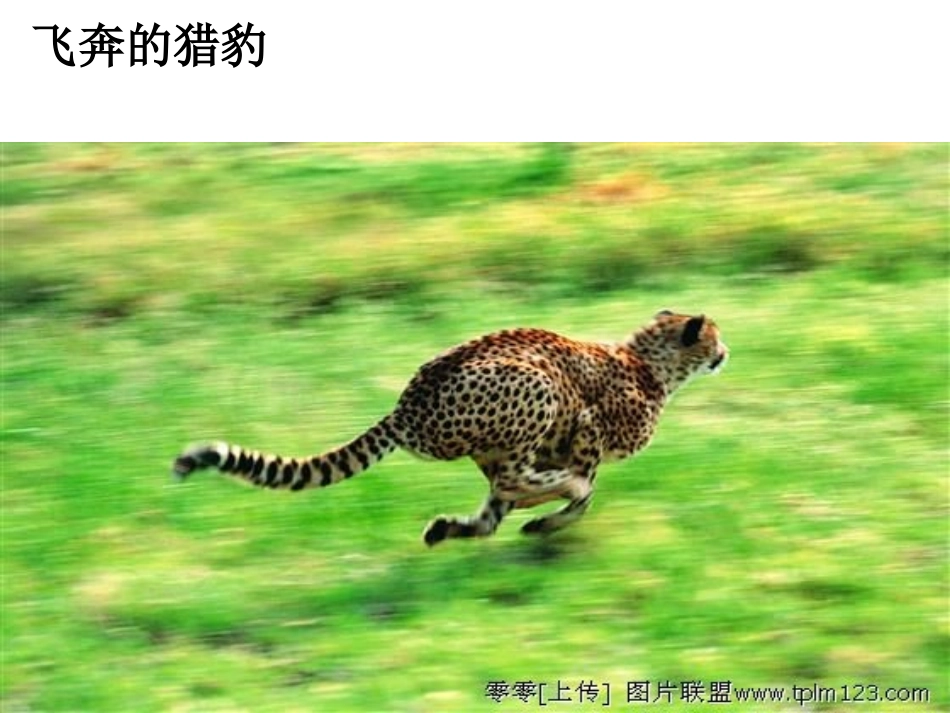 第一节认识运动_第2页