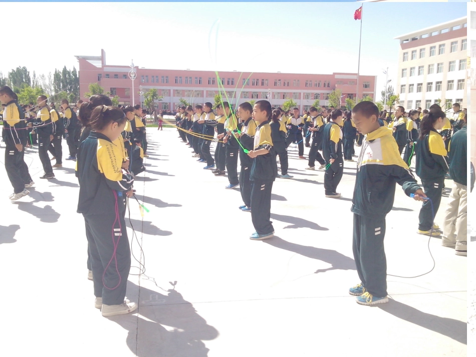 神经系统的组成_第1页