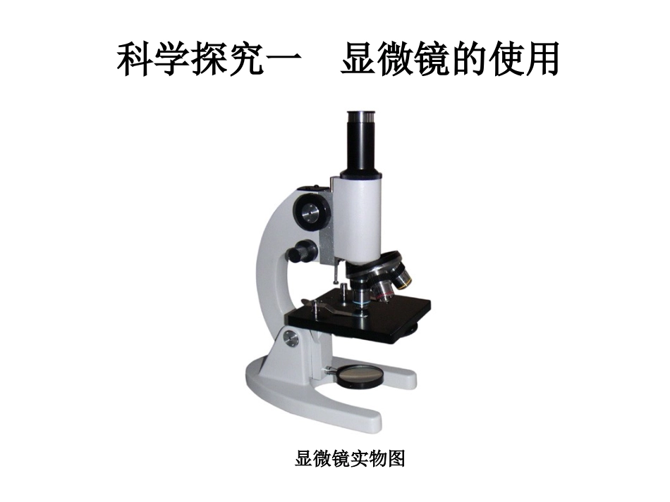 主题一科学探究_第2页