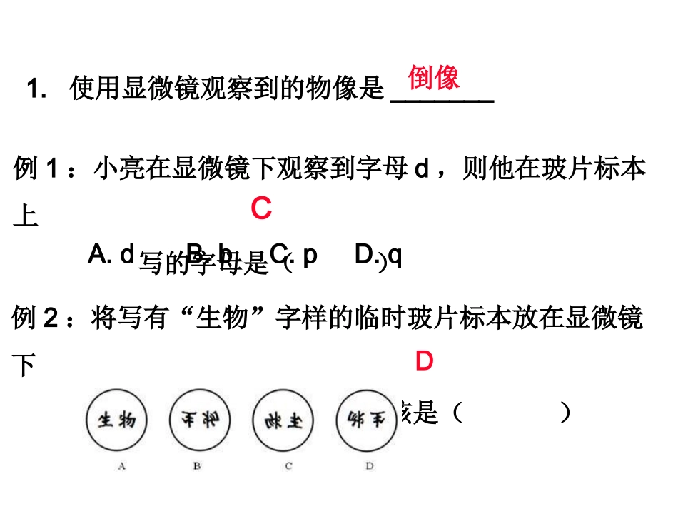 主题一科学探究_第3页