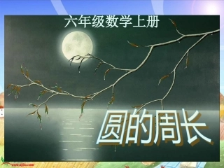 《圆的周长》PPT课件