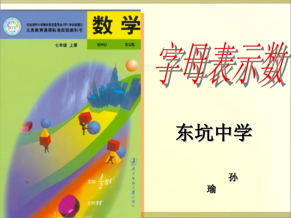 孙瑜-字母表示数_第2页