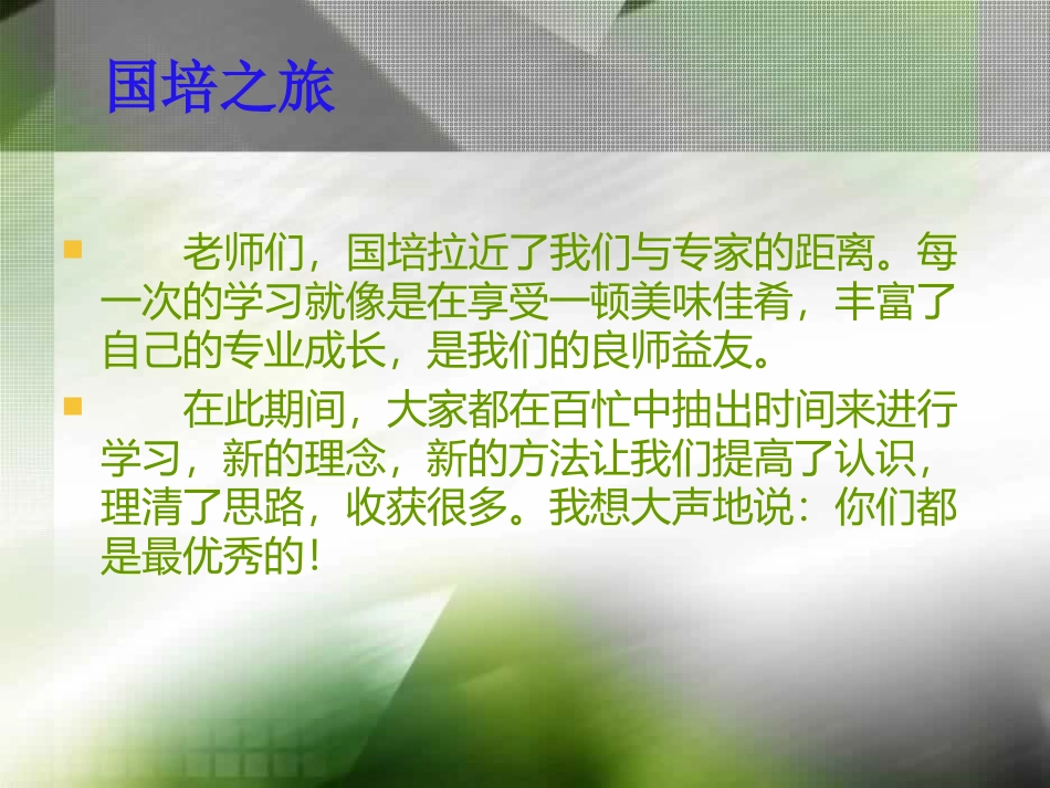 第五阶段国培简报_第2页