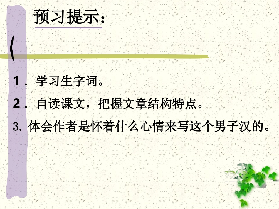 我们家的男子汉_第2页