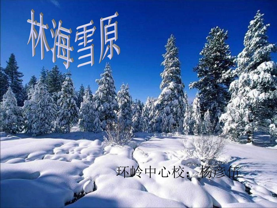 《林海雪原》PPT课件_第1页