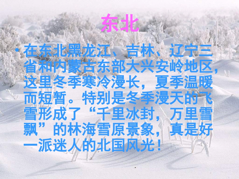 《林海雪原》PPT课件_第2页