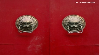 评讲：发展社会主义市场经济