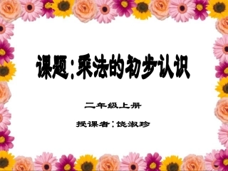 乘法的初步认识课件