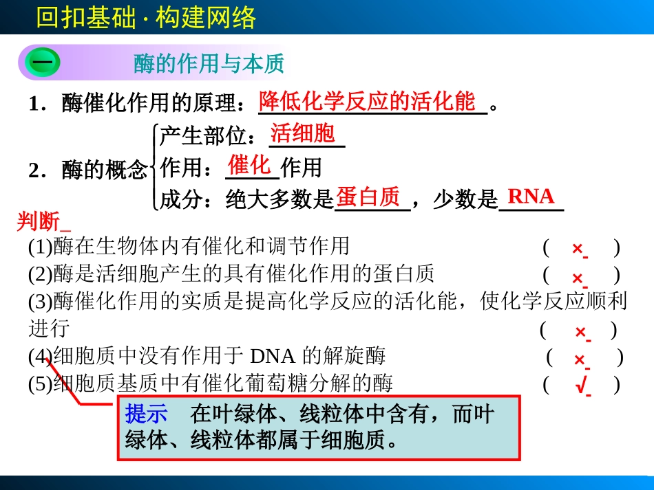 第三单元降低化学反应活化能的酶_第2页