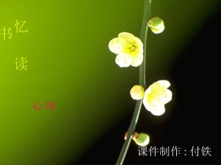 《忆读书》课件