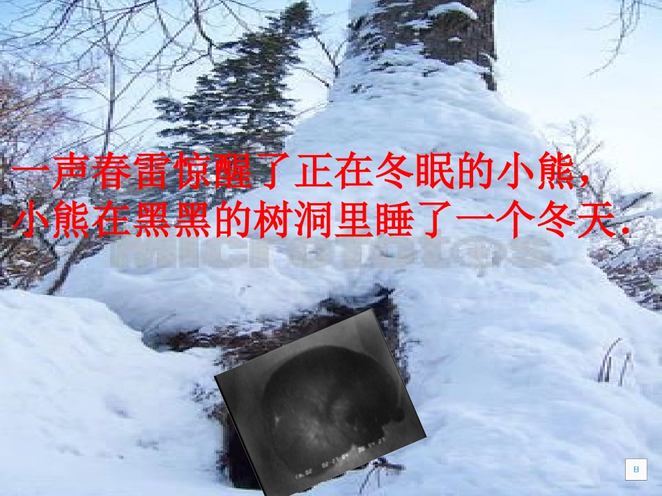 中班语言教案《春天的色彩》课件_第3页