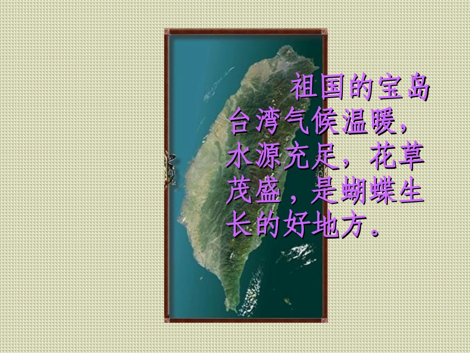 台湾的蝴蝶谷 (4)_第3页