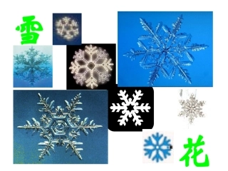 一中311晶体常识