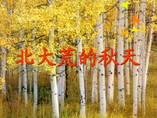 《北大荒的秋天》