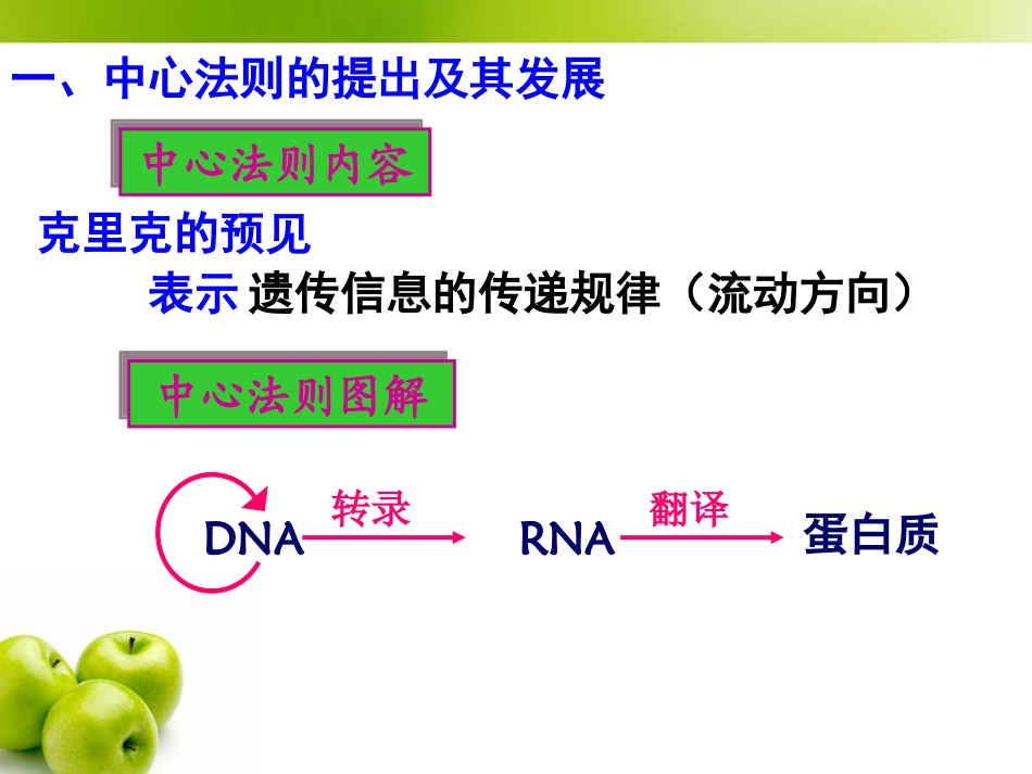 基因对性状的控制 (3)_第3页