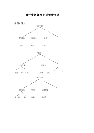 牛首一中教师金字塔