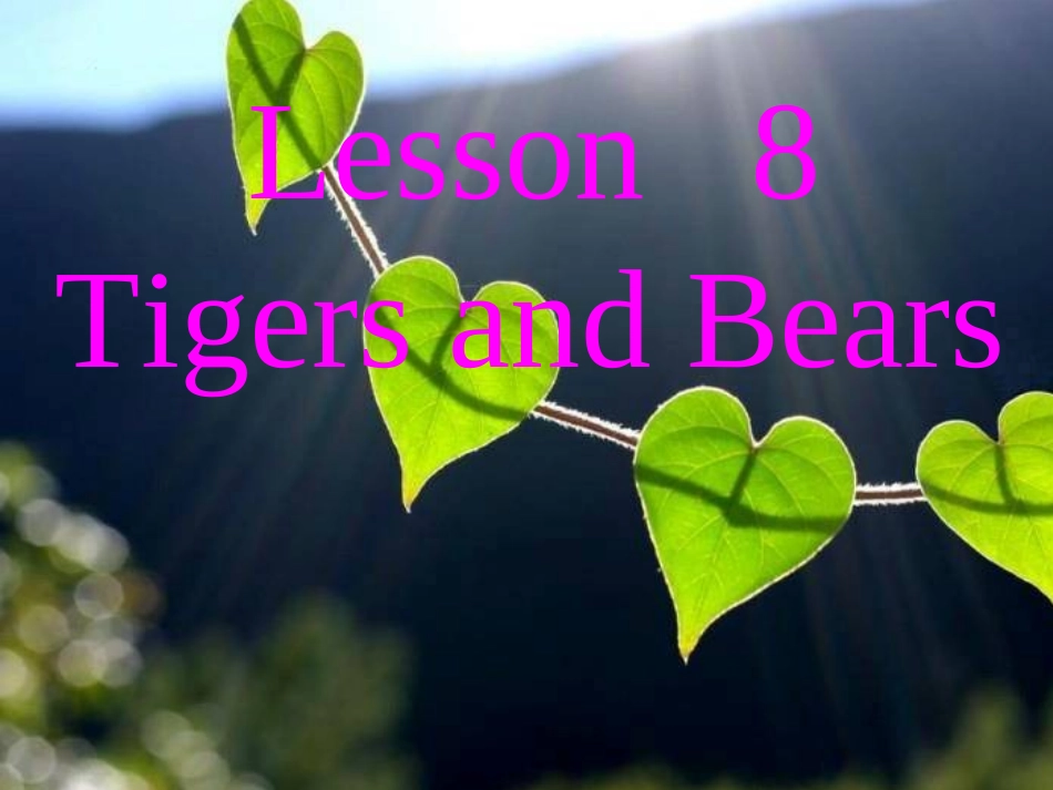 冀教版(三起)三下《Lesson8TigersandBears》课件_第1页