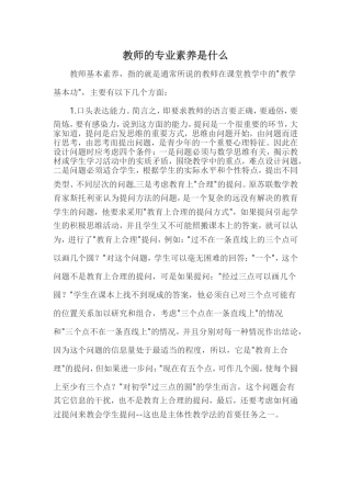 教师的专业素养是什么