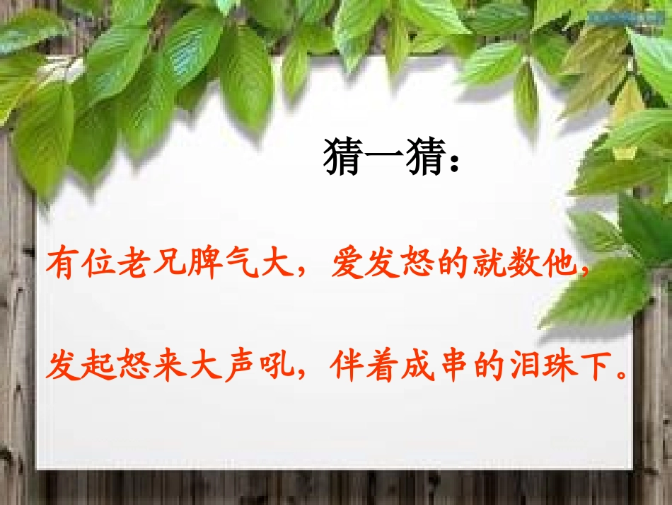 人教版二年级下册《雷雨》课件_第1页