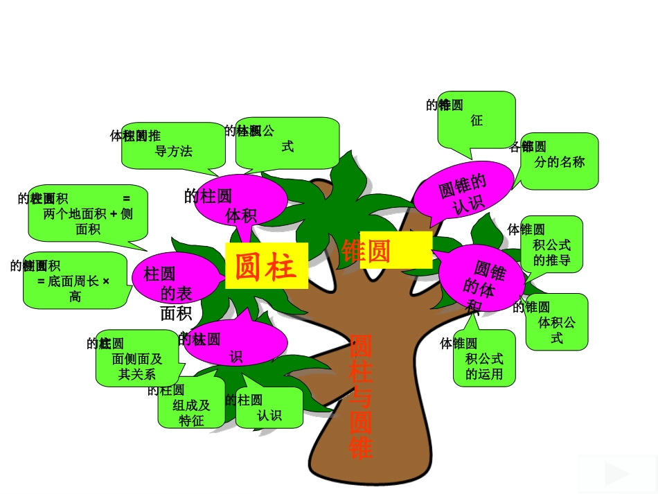 圆柱和圆锥知识树 (2)_第1页