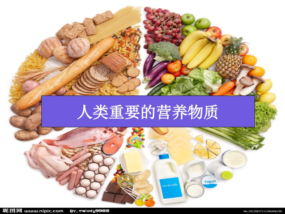 人类重要的营养物质_第1页