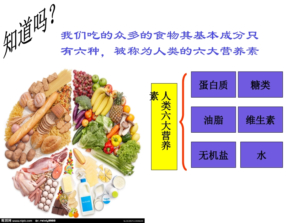 人类重要的营养物质_第2页