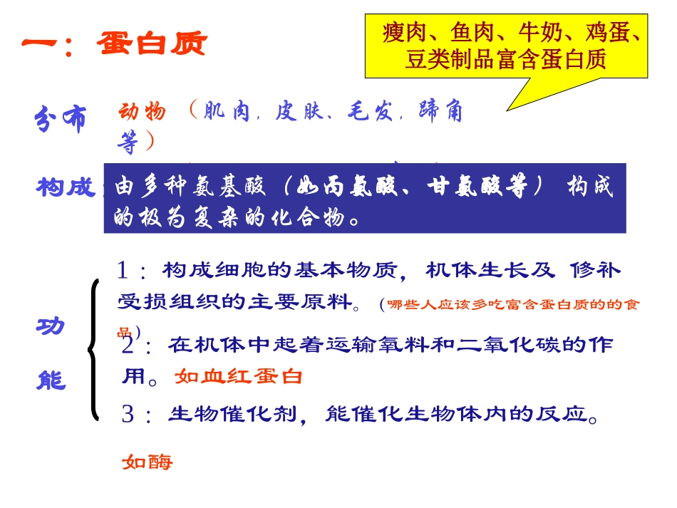 人类重要的营养物质_第3页