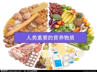 人类重要的营养物质