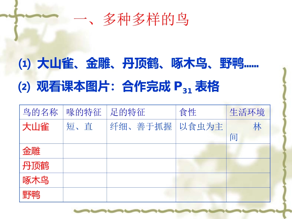 _第六节_鸟课件_第3页