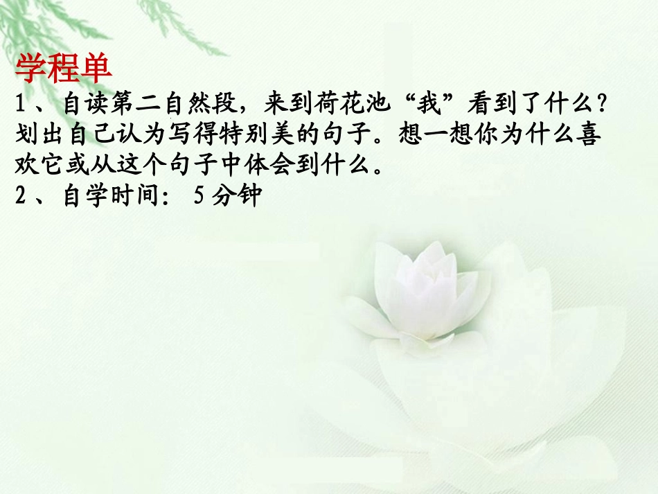 修改荷花第二课时课件_第3页