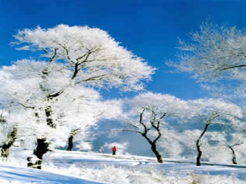 济南的冬天教学课件_第1页