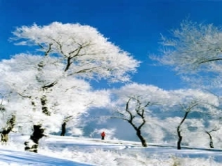 济南的冬天教学课件