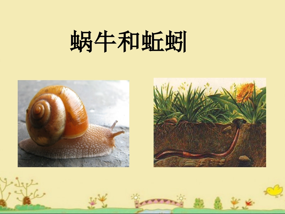 《蜗牛和蚯蚓》教学课件_第1页