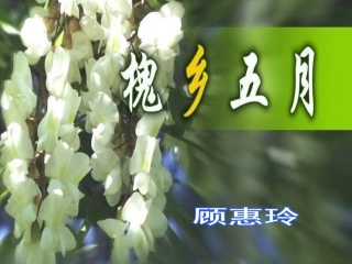 《槐乡五》月课件