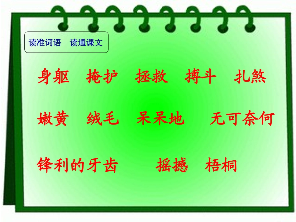 《麻雀》课件_第3页